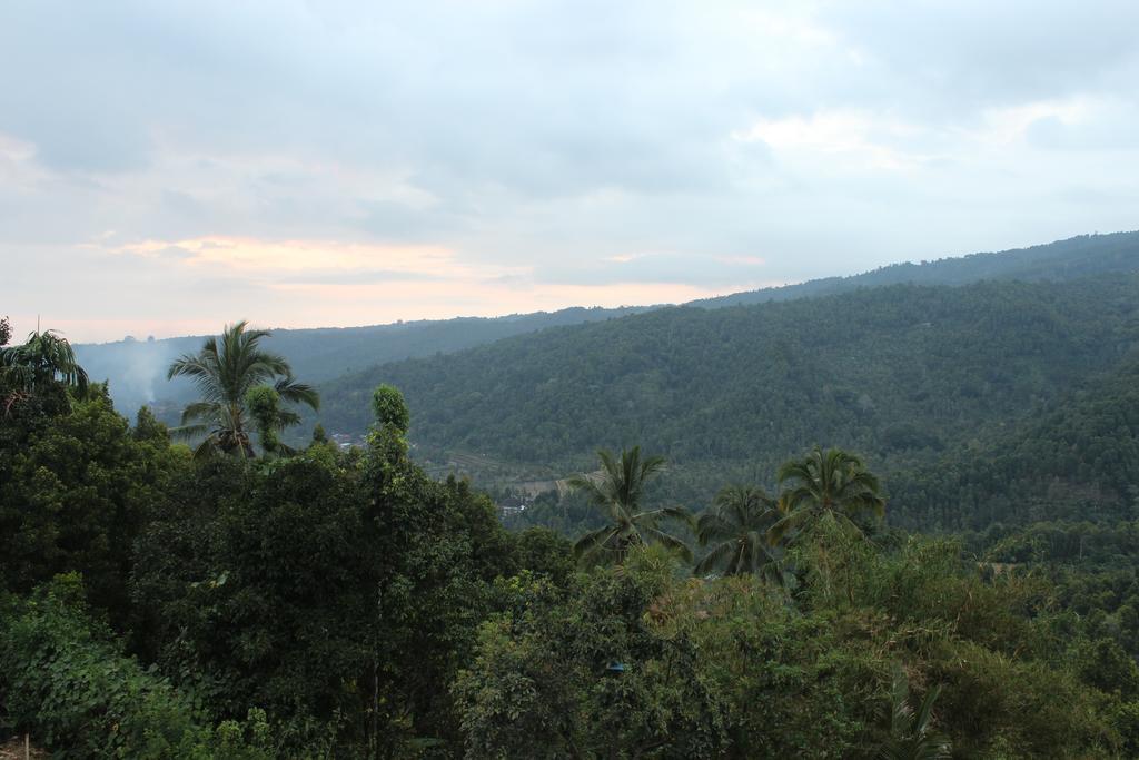 Maliana Homestay Munduk Exteriör bild