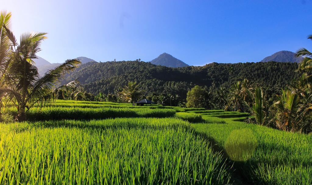 Maliana Homestay Munduk Exteriör bild
